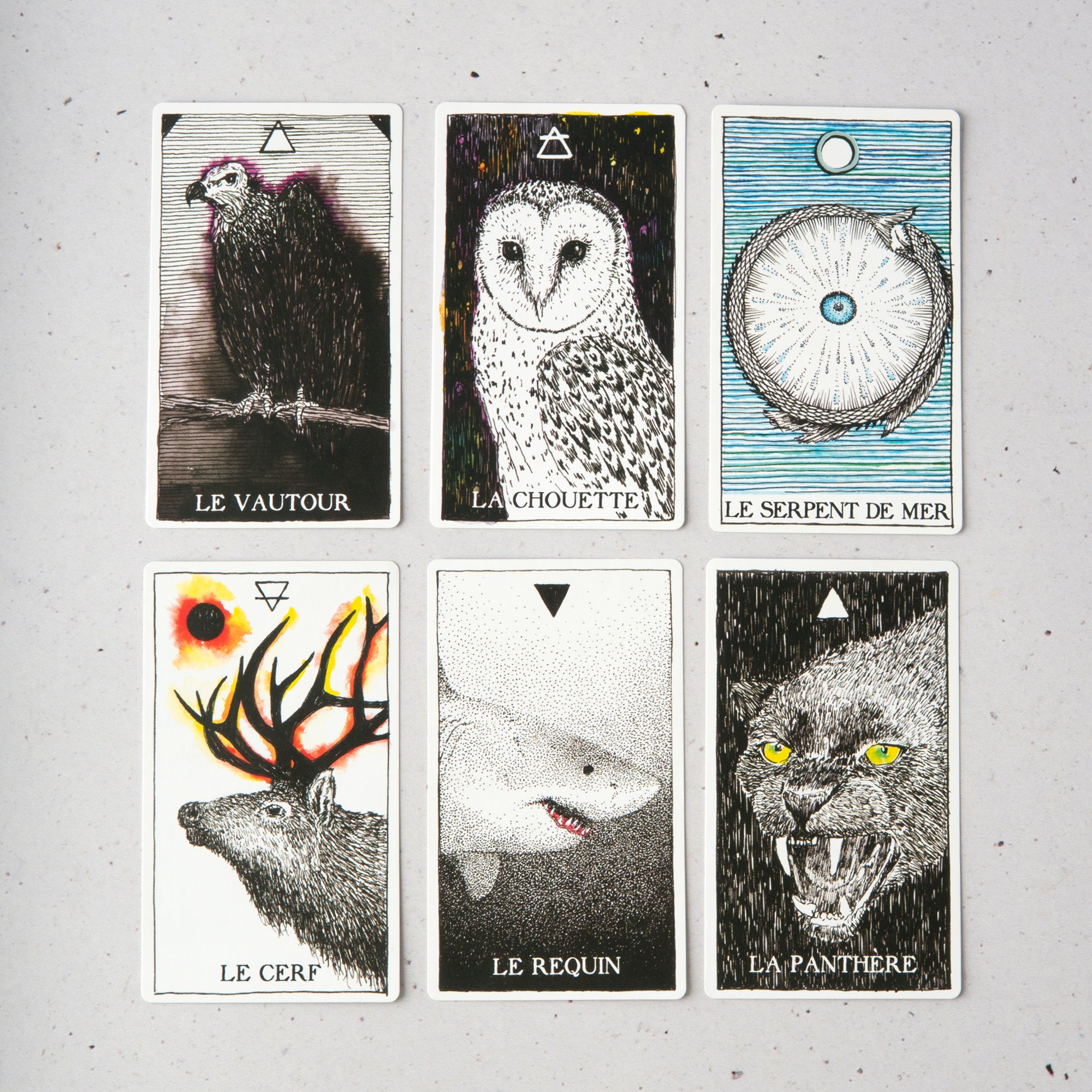 L’Oracle de l’Esprit Animal — Sauvage et Inconnu
