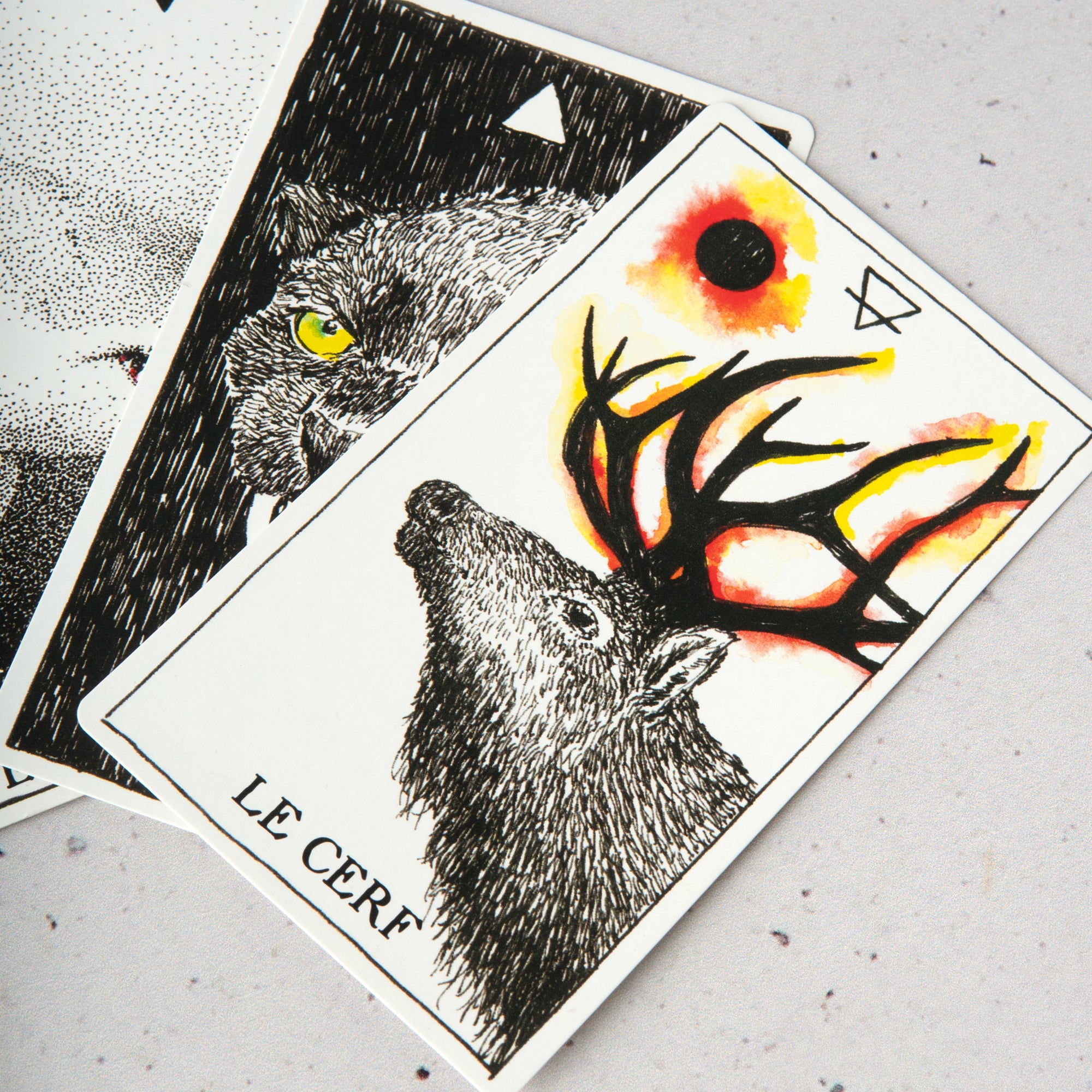 L’Oracle de l’Esprit Animal — Sauvage et Inconnu